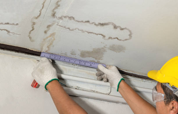 Reliable Mold Remediation contractor in Hooper, WA by Water Damage Irwin